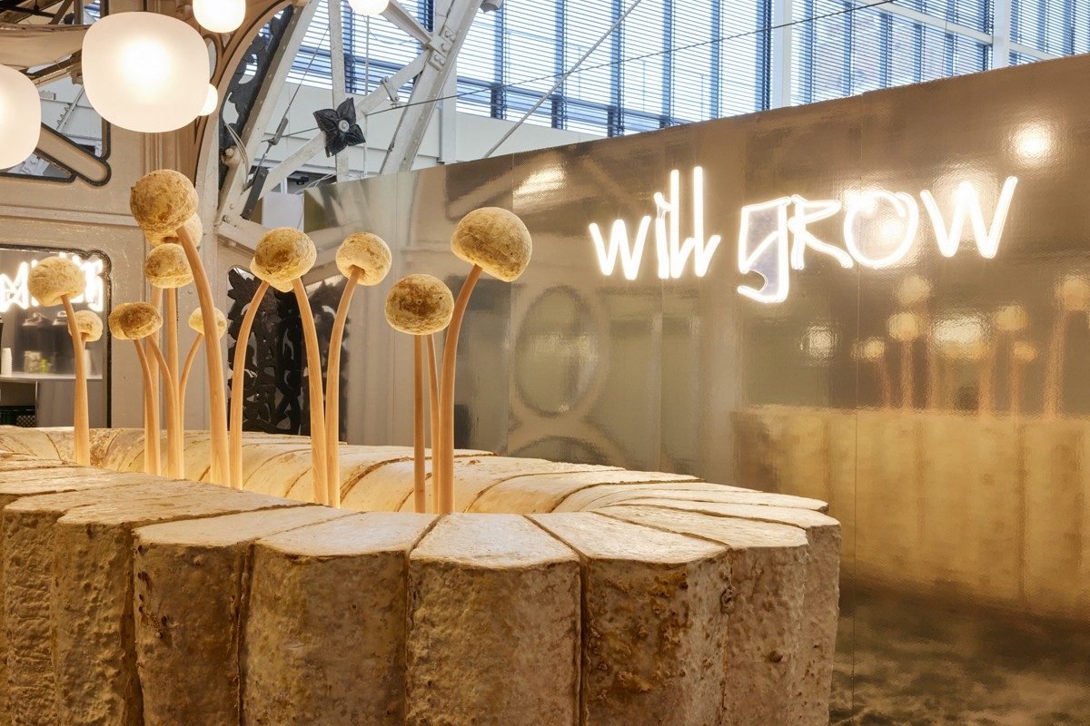 Das belgische Designstudio WeWantMore entwarf eine experimentelle Installation aus Myzel für die Desigmesse HIX London.