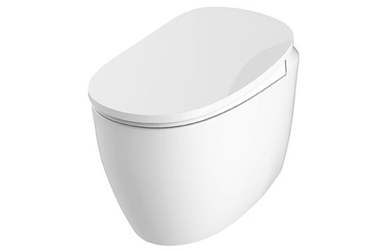 HDE5001 Intelligent Toilet