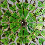 Fotosynthese-Kronleuchter von Julian Melchiorri, Arborea